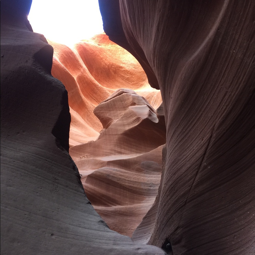 Meet your Posher, Michelle